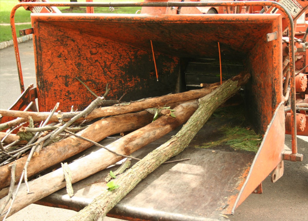 Tree in wood chipper