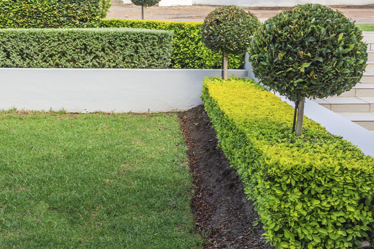 Improved landscaping