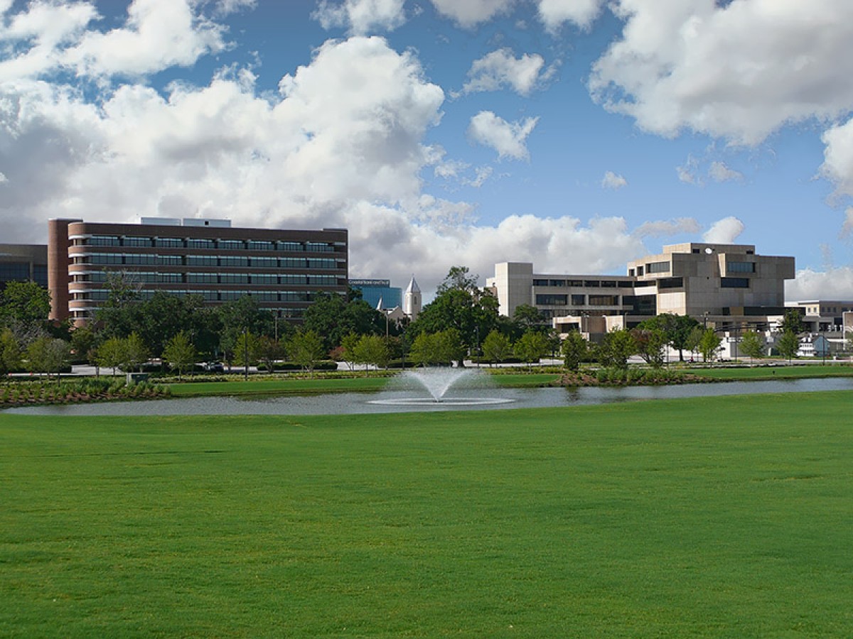 Commercial Landscaping