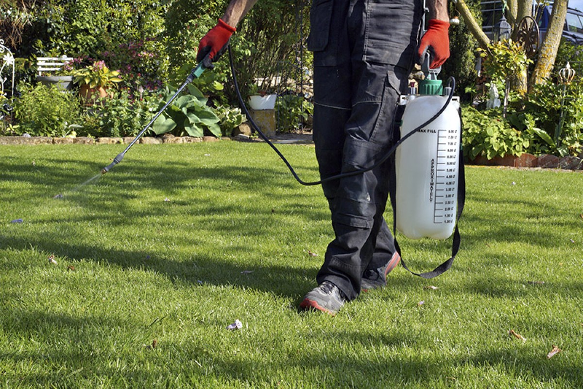 Lawn Sprayer